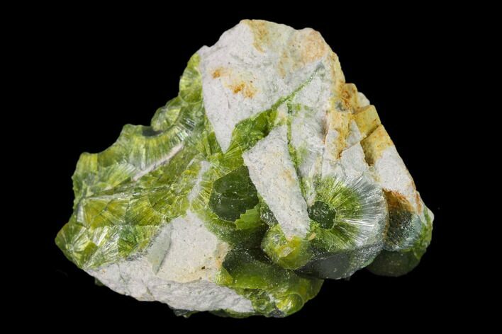 Radiating, Green Wavellite Crystal Aggregation - Arkansas #135940